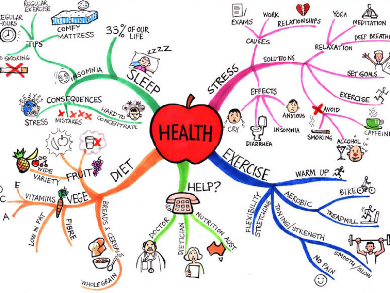 800-600-mindmap_0000_health