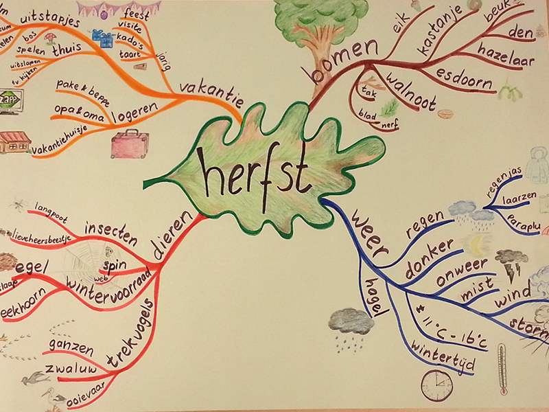 800-600-mindmap_0005_herfst